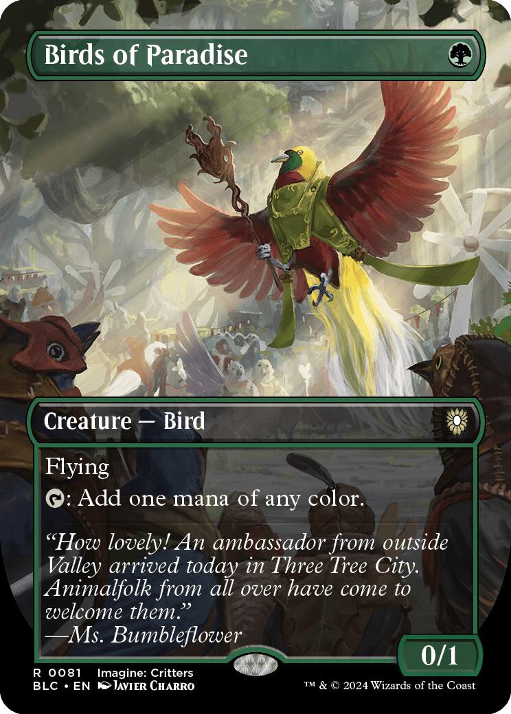 Birds of Paradise (Borderless)