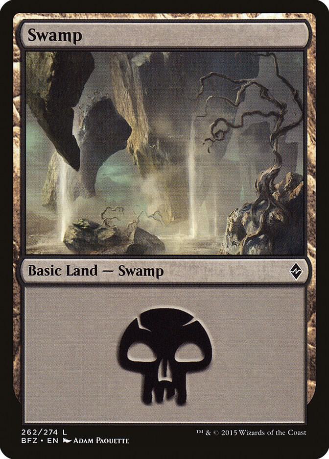 Swamp (262) [Battle for Zendikar - 262]