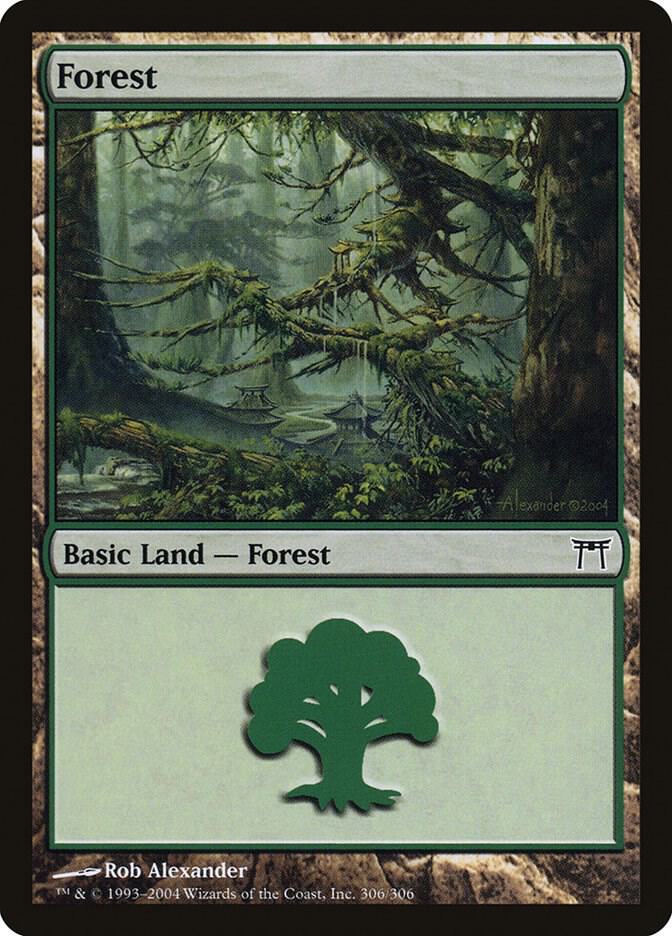 Forest (306) [Champions of Kamigawa - 306]