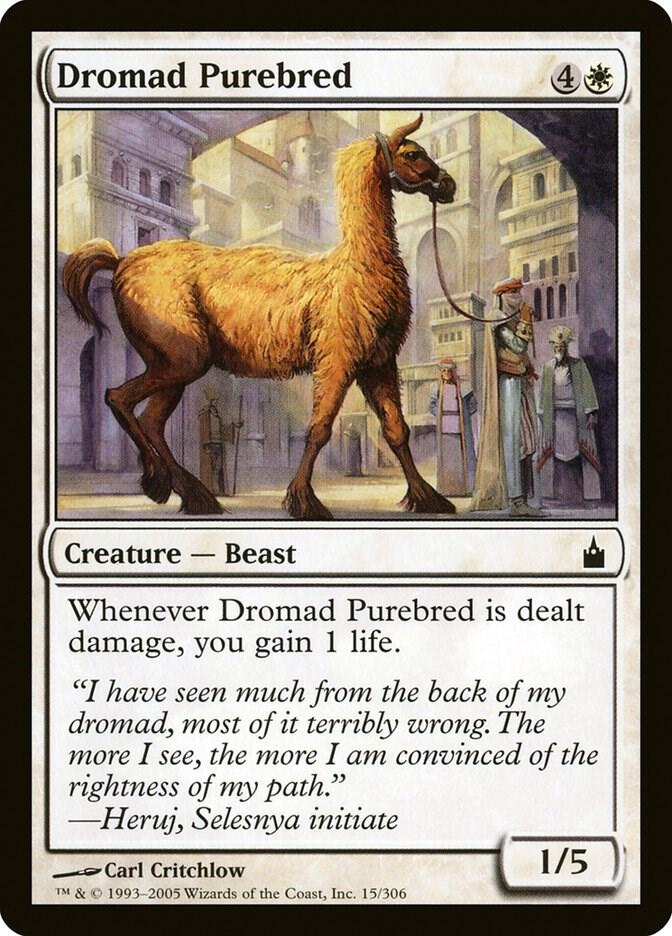 Dromad Purebred [Ravnica: City of Guilds - 15]