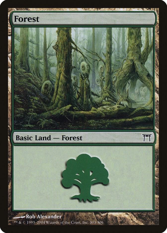 Forest (303) [Champions of Kamigawa - 303]