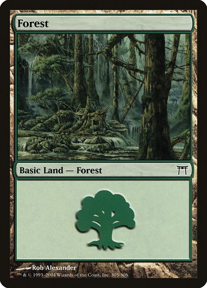 Forest (305) [Champions of Kamigawa - 305]