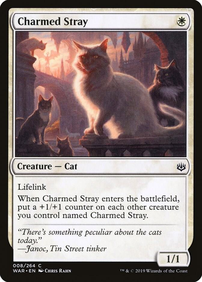 Charmed Stray [War of the Spark - 8]