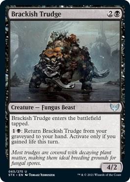 Brackish Trudge [Strixhaven: School of Mages - 65]