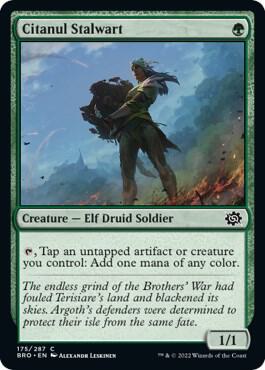 Citanul Stalwart [The Brothers' War - 175]