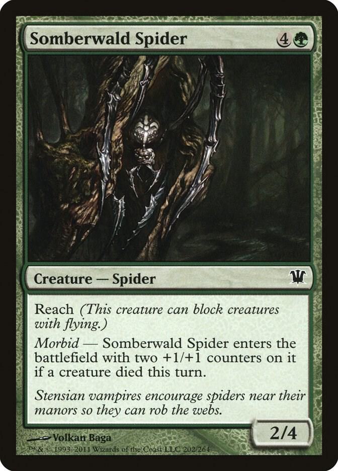 Somberwald Spider [Innistrad - 202]